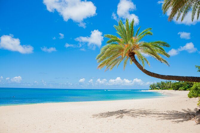 Grand Circle Island Tour - Authentic Experiences and Insights from Past Travelers