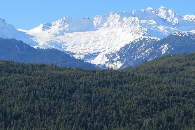 Grand City Small Group Tour of Vancouver - Taking in Vancouver’s cultural neighborhoods
