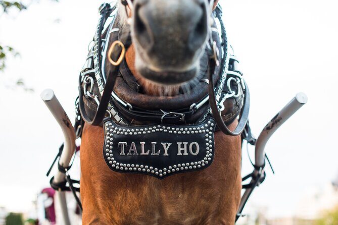 Grand Horse-Drawn Carriage Tour of Victoria - FAQs