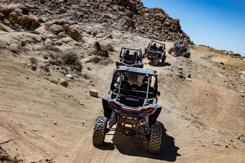 Grand Junction: Family-Friendly 4WD UTV Tour & Scenic Views - Who Should Consider This Tour?