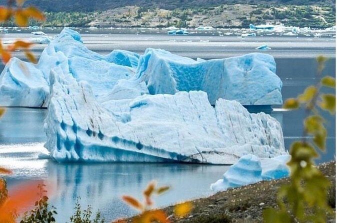 Grand Seward Ocean and Icebergs 1.5 hours 2 Landings Seward - Who Will Love This Tour?