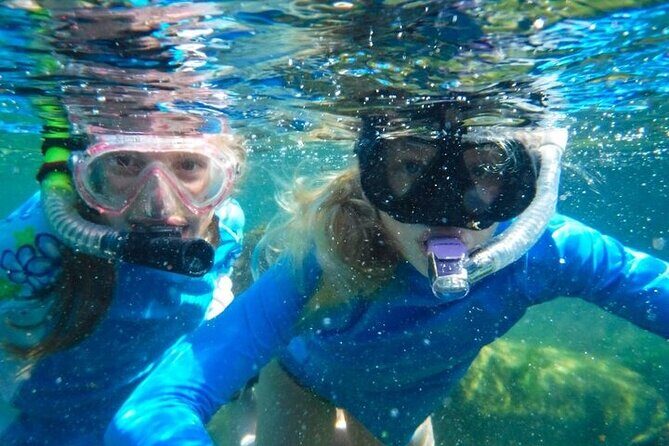 Grand Snorkeling Riviera Maya Private Tour - Who Should Consider This Tour?