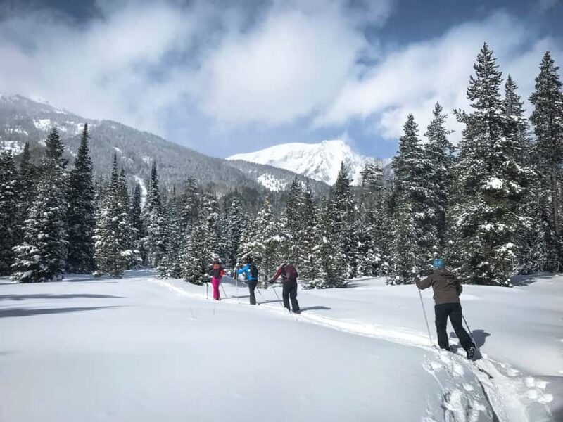 Grand Teton National Park: 4-Hour Beginner Cross-Country Ski - The Guides and Their Expertise