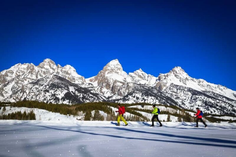 Grand Teton National Park: 4-Hour Beginner Cross-Country Ski - Who Should Consider This Tour?