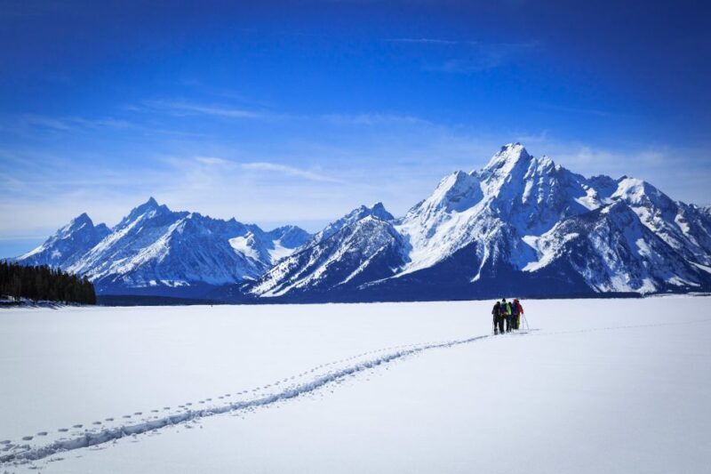 Grand Teton National Park: 4-Hour Easy Snowshoeing Tour - Value and Pricing: What You Get