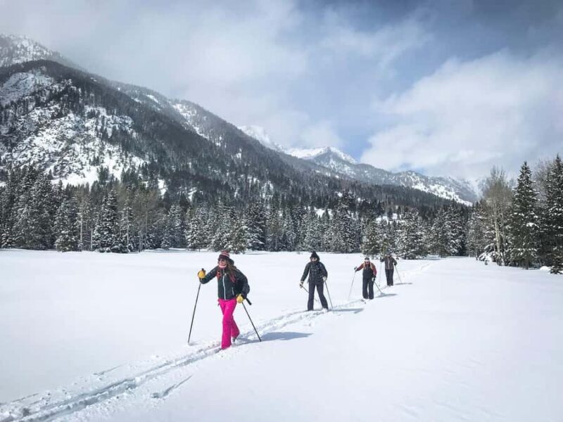 Grand Teton National Park: 4-Hour Easy Snowshoeing Tour - Who Will Love This Tour?