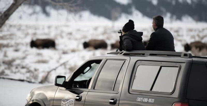 Grand Teton National Park: 8-Hour Willdlife & Snowshoe Tour - The Logistics and Value