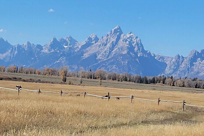 Grand Teton National Park Private Wildlife Safari - Dawn/Dusk - An In-Depth Look at the Grand Teton Wildlife Safari