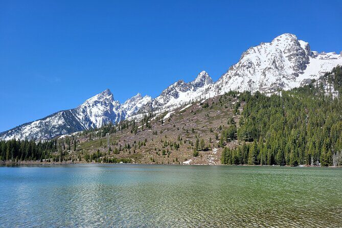 Grand Teton National Park Private Wildlife Safari - Dawn/Dusk - Final Thoughts: Is It Worth It?