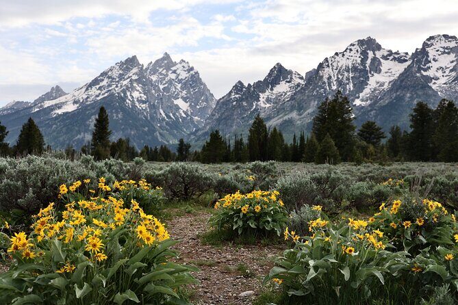 Grand Teton National Park Tour - Key Points