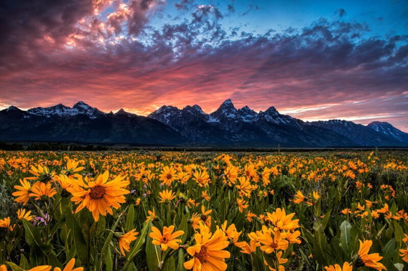 Grand Teton: Private Guided Tour (Sunset) - FAQ