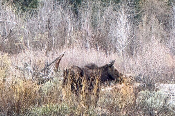Grand Teton Sunrise Scenic Tour - Final Thoughts