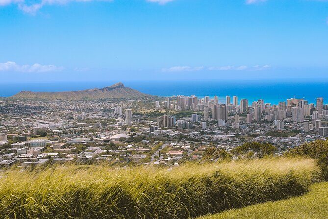 Grand Tour Around Oahu- Swim at Waterfall & Turtle Beach - Why This Tour Works Well