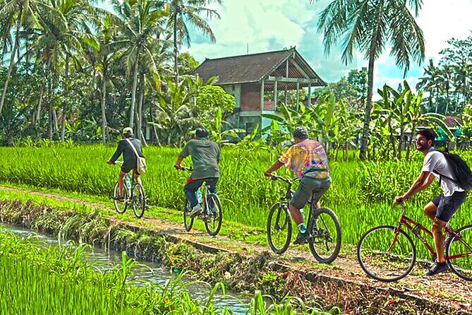 Grand Tour-Ek Phnom. Baset. Bamboo Train. Wat Banan. Phnom Sampov - The Sum Up