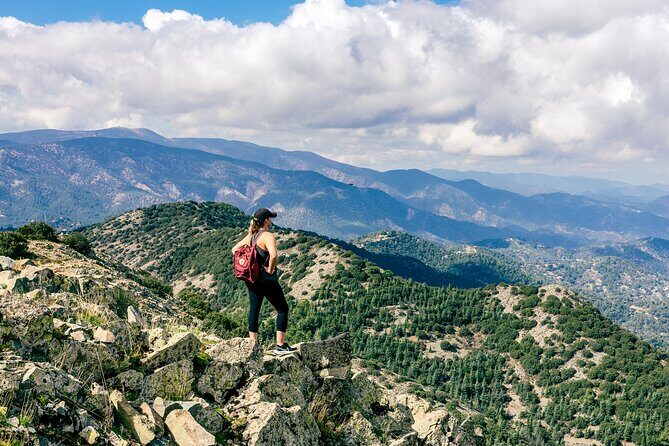 Grand Tour Full Day Jeep Safari from Larnaka Bay - Practical Tips for Making the Most of Your Tour