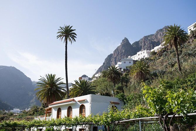 Grand Tour in Gran Canaria - Exploring the Itinerary in Detail