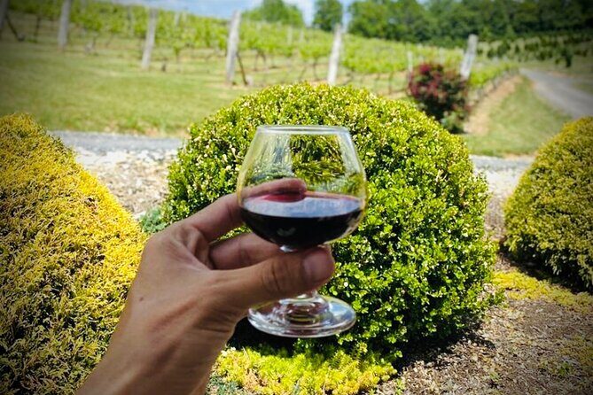 Grandfather Mountain Private Wine & Dine Tour from Asheville - Real Insights from Past Travelers