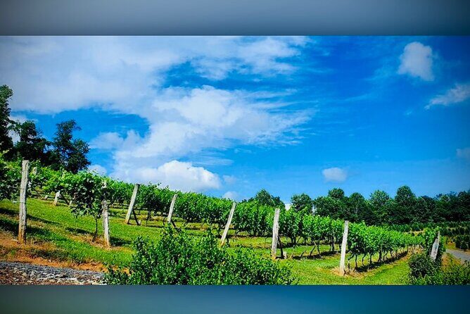 Grandfather Mountain Private Wine & Dine Tour from Asheville - Final Thoughts: Is This Tour Worth It?