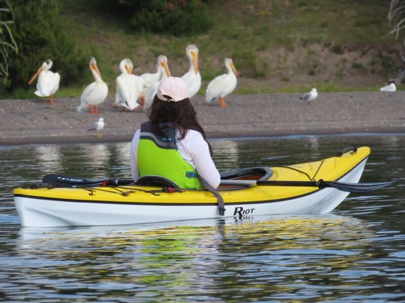 Grant Village: Yellowstone Lake Guided Kayak Tour with Lunch - Authentic Encounters and Real Reviews