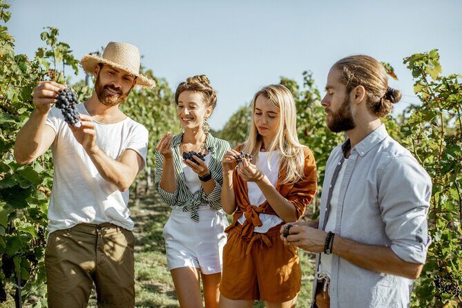 Grape Escapes Wine Full-Day Tour in Ithaca - Final Thoughts