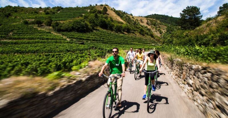 Grape Grazing: Wachau Valley Winery Biking Tour - An In-Depth Look at the Wachau Valley Winery Biking Tour