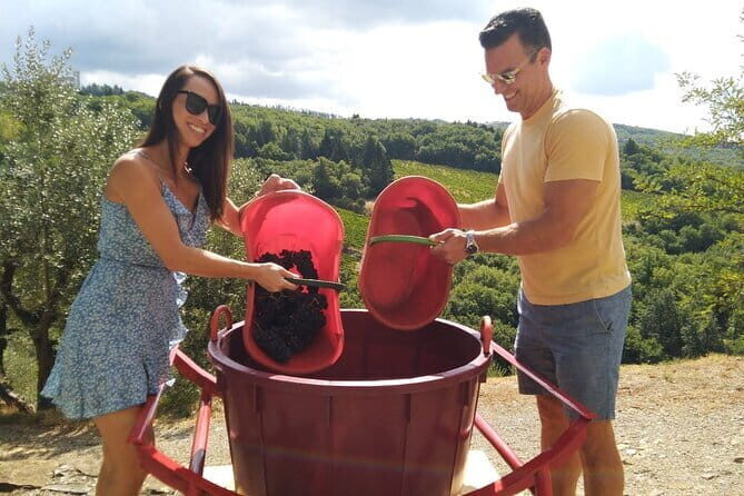 Grape Stomping and Wine Tasting in Tuscany - What to Expect from the Grape Stomping and Wine Tasting Tour