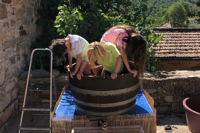 Grape Stomping Experience and Wine Tasting - Why This Tour Offers Great Value