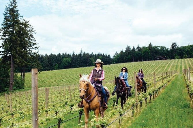 Grape Stomping Experience and Wine Tasting - Frequently Asked Questions