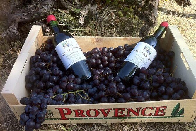 Grape Stomping in Provence - What Makes This Tour Special?