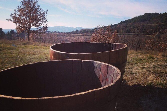 Grape Stomping in Provence - The Experience in Practice