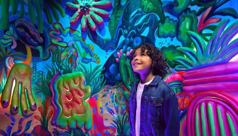 Grapevine: Meow Wolf The Real Unreal Ticket - Key Points