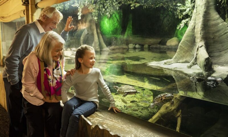 Grapevine: SEA LIFE Grapevine Aquarium General Admission - Final Thoughts