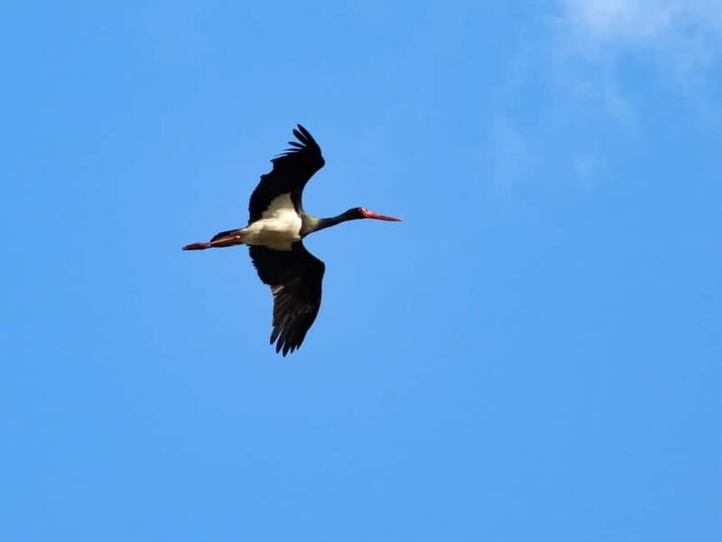 Gravina di Laterza: discover the largest Canyon in Europe - The Virtual Reality 3D Experience