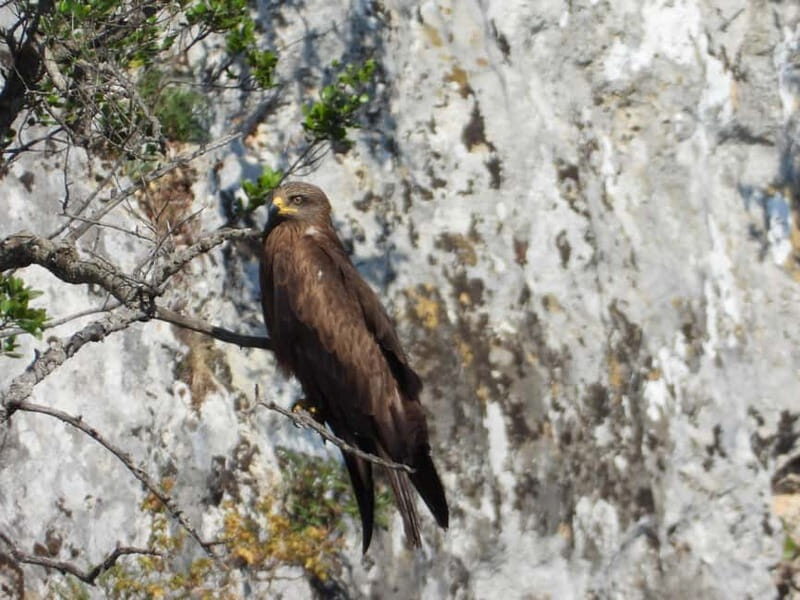 Gravina di Laterza: discover the largest Canyon in Europe - Who Should Consider This Tour?