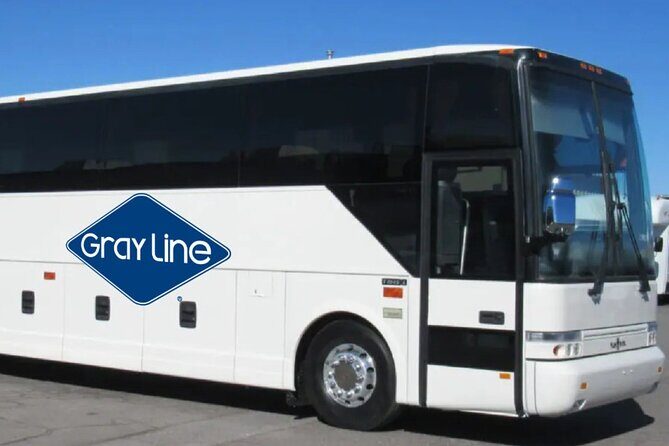 Gray Line NY Sightseeing Flex Pass to MoMA and 120+ options - Practical Tips for Making the Most of Your Pass