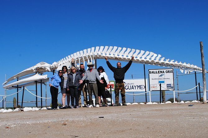 Gray Whale-Watching 2-Day Experience in Magdalena Bay - Final Thoughts