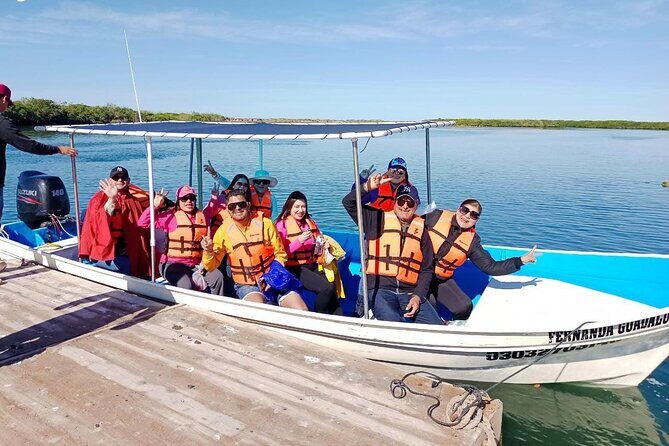 Gray Whale watching in Magdalena Bay From Los Cabos - An In-Depth Look at This Whale Watching Tour