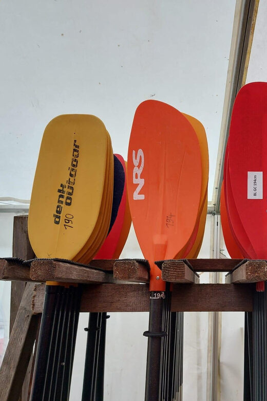 Graz: Kayak beginner tour on the Mur - An In-Depth Look at the Graz Kayak Tour