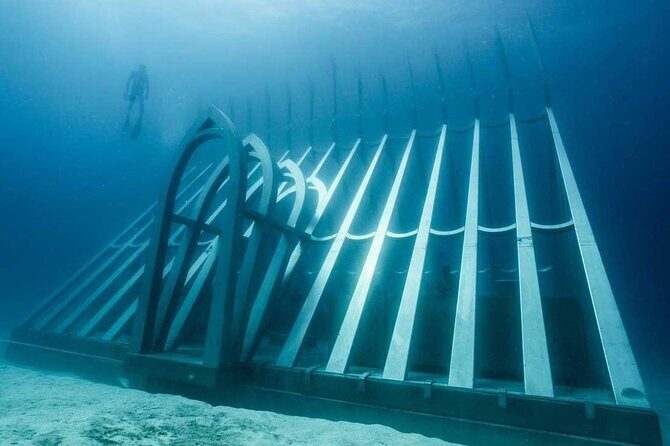 Great Barrier Reef and MOUA Cruise from Townsville or Magnetic Island - The Details: What to Expect on This Excursion