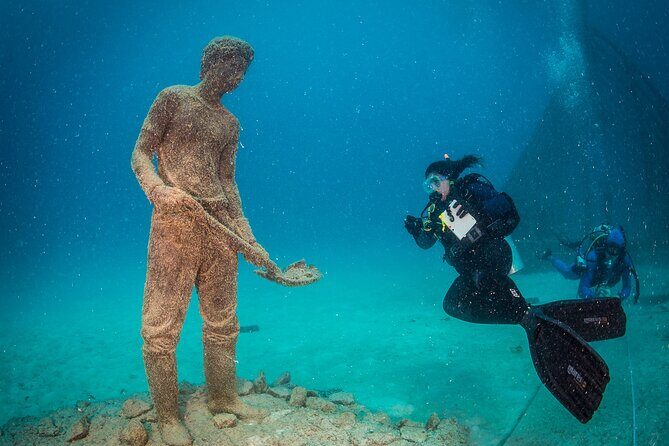 Great Barrier Reef and MOUA Cruise from Townsville or Magnetic Island - FAQ