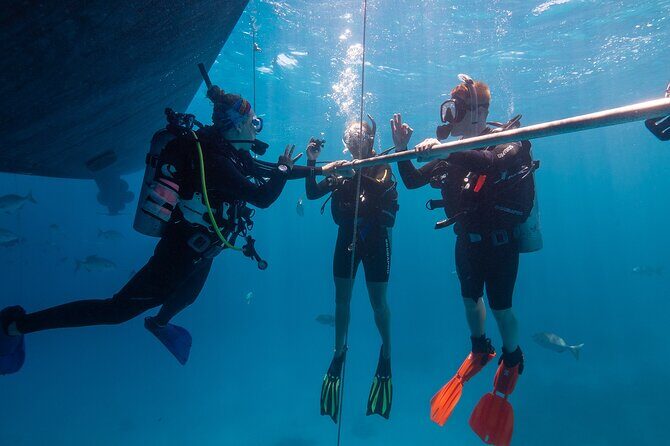 Great Barrier Reef Full Day Tour from Cairns - The Real Value of This Tour