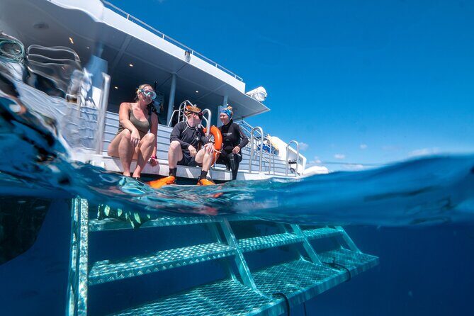 Great Barrier Reef Full Day Tour from Cairns - Practical Tips for Future Travelers