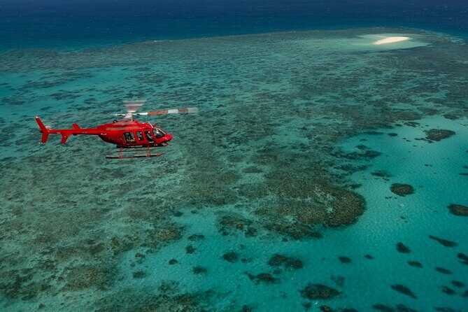Great Barrier Reef or Rainforest Scenic Flights from Port Douglas - An overview of the experience: What to expect