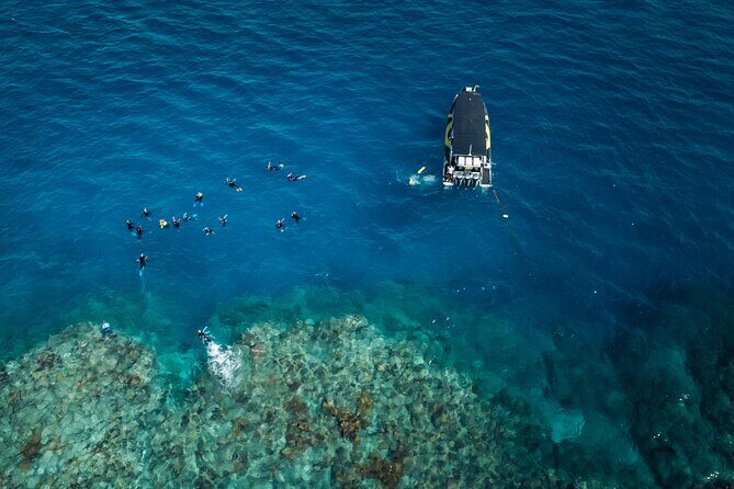 Great Barrier Reef Small Group Snorkelling Adventure - Pricing and Value