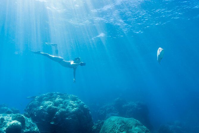 Great Barrier Reef Snorkeling and Diving Cruise from Cairns - Analyzing the Value