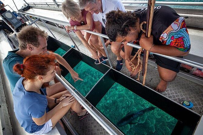 Great Barrier Reef with Cultural Guides-Dreamtime Dive & Snorkel - Who is This Tour Best For?