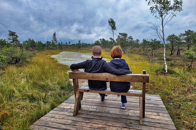 Great emeri Bog and Swamp Forest Hiking Adventure - Starting Point: Comfort and Convenience