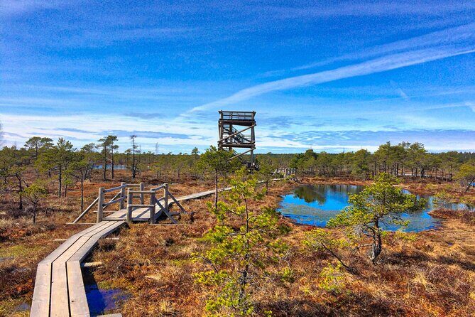 Great emeri Bog and Swamp Forest Hiking Adventure - What’s Included and What’s Not