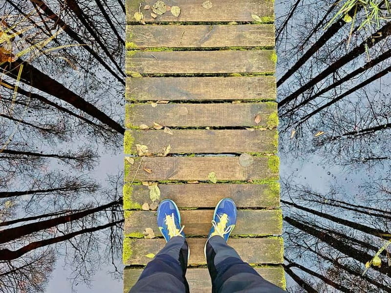 Great emeri Bog & Swamp Forest Hiking Adventure - Final Thoughts: Is This Tour Worth It?