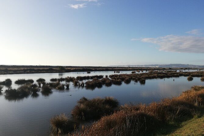 Great Escape Self-Guided Scenic Cycle Winery Tour from Napier - Detailed Itinerary Breakdown